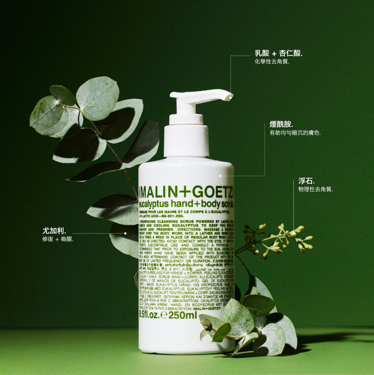 eucalyptus hand+body scrub.